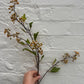 Faux Hypericum Berry Spray – Yellow Green