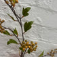Faux Hypericum Berry Spray – Yellow Green