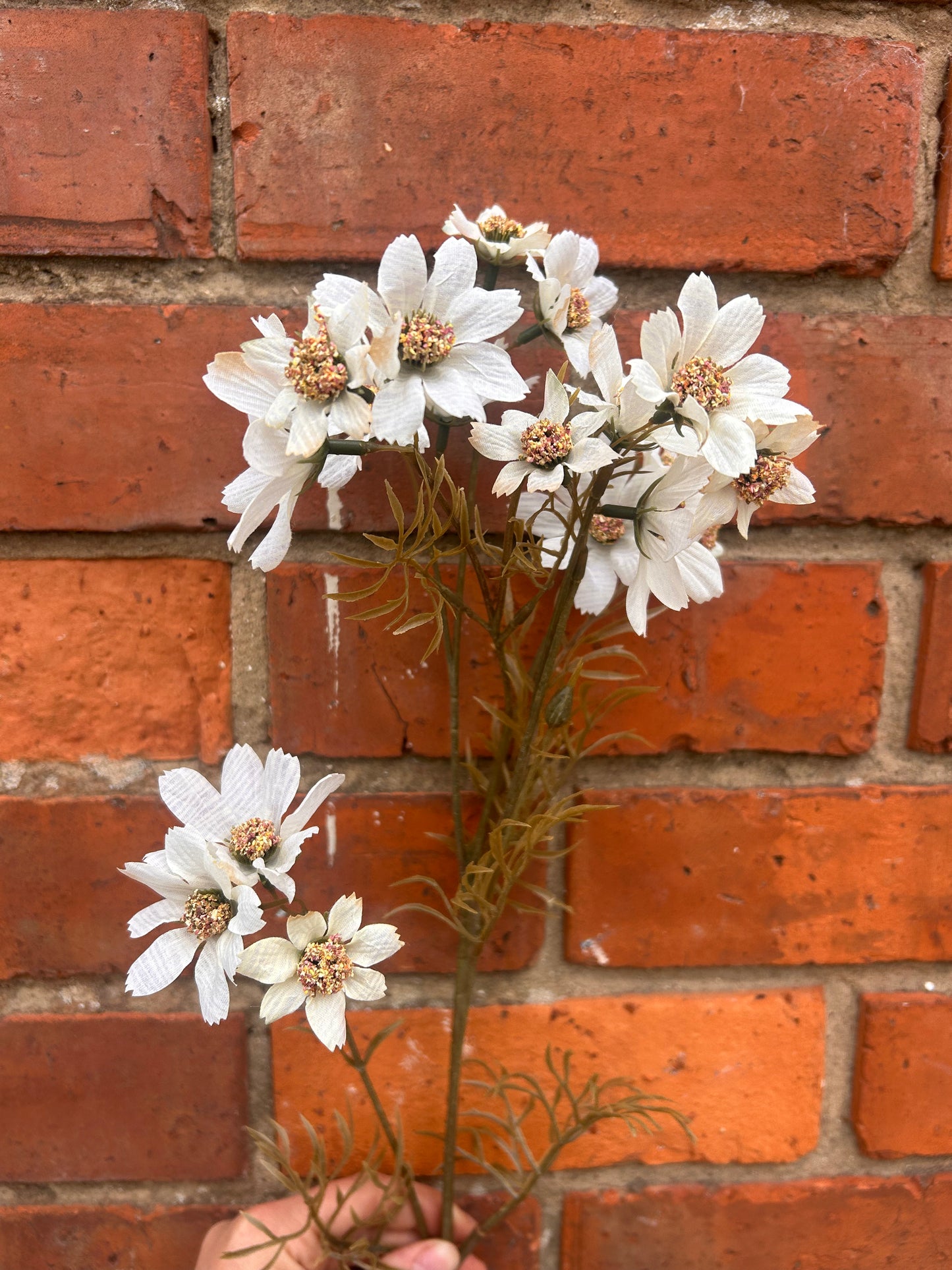 Faux White Cosmos Stem