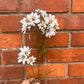 Faux White Cosmos Stem