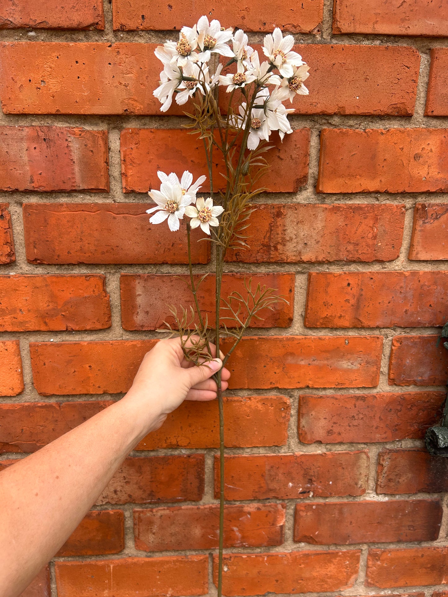 Faux White Cosmos Stem