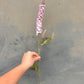 Faux Veronica Spicata Stem – Blush Pink
