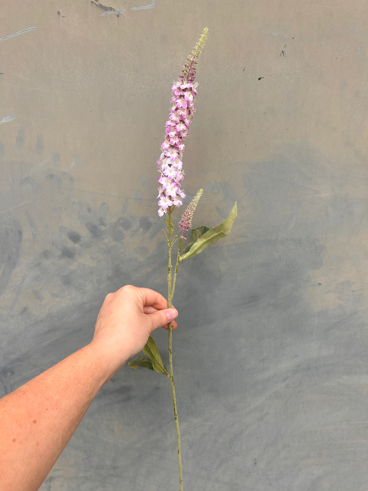 Faux Veronica Spicata Stem – Blush Pink