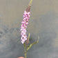 Faux Veronica Spicata Stem – Blush Pink