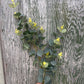 Faux Eucalyptus Spray with Yellow Buds
