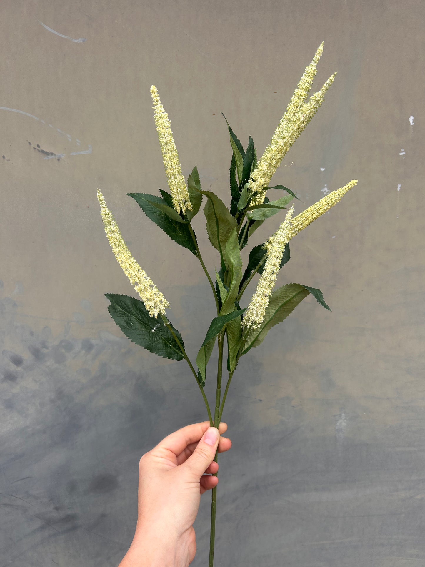Faux Veronica Spray – Soft Cream