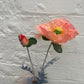 Faux Coral Poppy Stem
