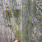 Faux Nigella Stem – Love in a Mist