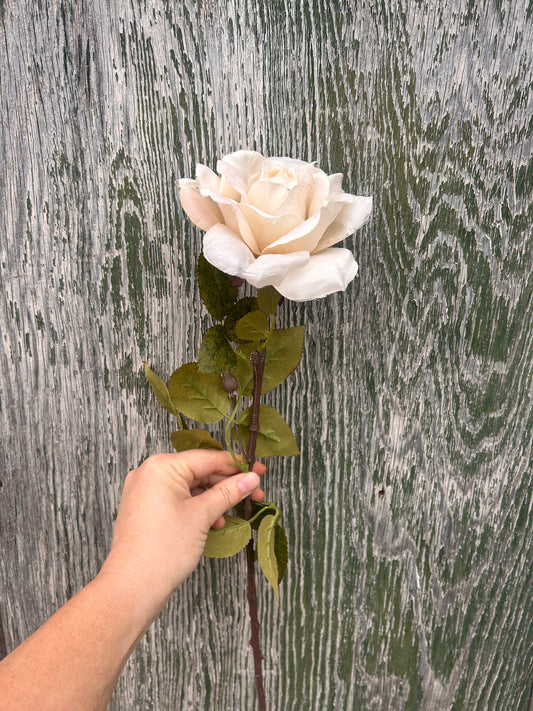 Faux Rose Stem – Cream