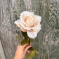 Faux Rose Stem – Cream