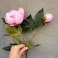 Faux Peony Stem – Soft Pink