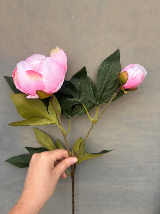 Faux Peony Stem – Soft Pink