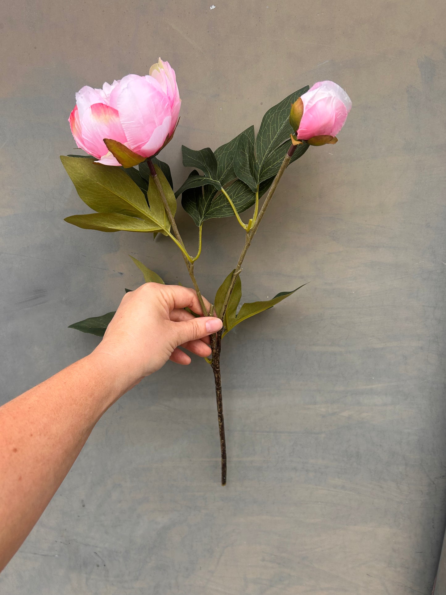 Faux Peony Stem – Soft Pink