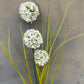 Faux Allium Stem – White