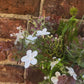 Wild Faux Flower arrangement