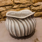 White and Grey Plant Pot