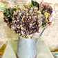 Autumn Burgundy Hydrangeas