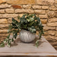 White and Grey Plant Pot