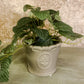 Dolomite Flower Pots