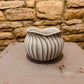 White and Grey Plant Pot
